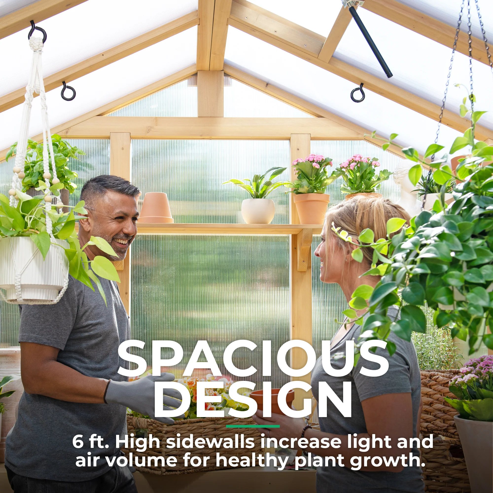 6.7' x 9.7' Meridian Greenhouse - Image 4